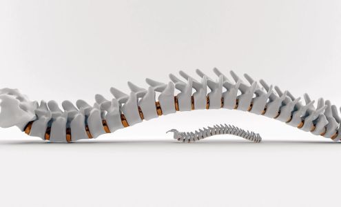 Wave Chiropractic + Wellness