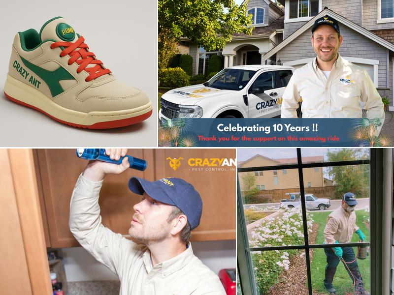 Crazy Ant Pest Control