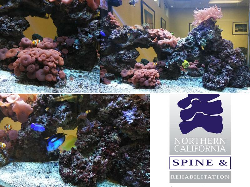Northern California Spine Rehab