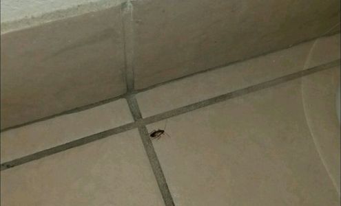 L & L Footcare Massage 10300 Westminster Ave, Garden Grove California 92843