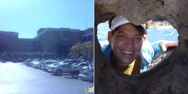 Destination Massage and Movement Techniques