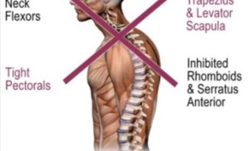 Newport Wellness Center