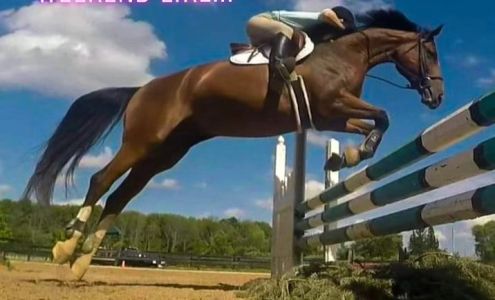 Back In Balance Bodywork