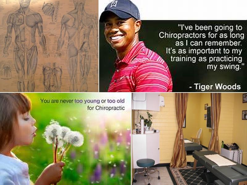 Back In Shape Chiropractic