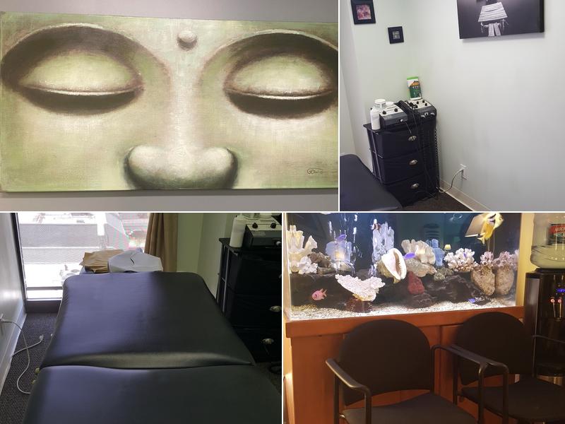 Arbor Vitae Chiropractor Santa Monica