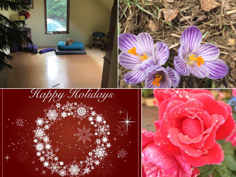 Karen Vasil-Busch, LMT, CAP