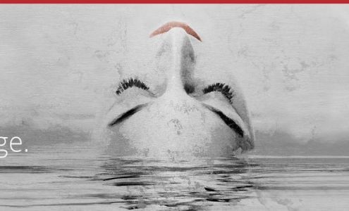 Anti-Aging Institute