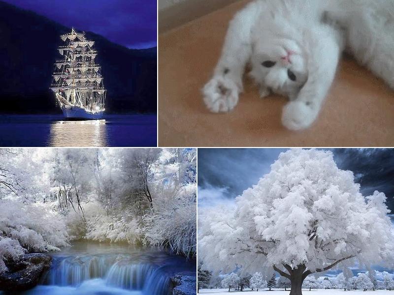 Michele Streenz Esthetician and Hypnotherapist