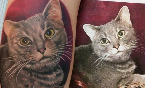 Stay Gold Tattoo Company 209 Jefferson Pike, Knoxville Maryland 21758