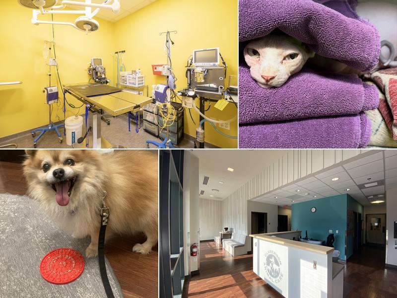 Clarendon Animal Care - Columbia Pike - South Arlington