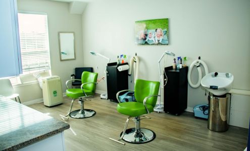 Fresh Heads Lice Removal - Jacksonville