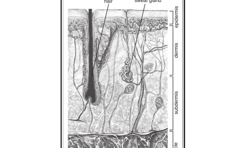 Clinical Electrology