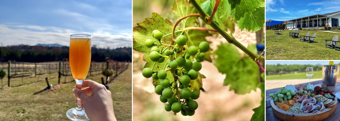 Veronét Vineyards & Winery