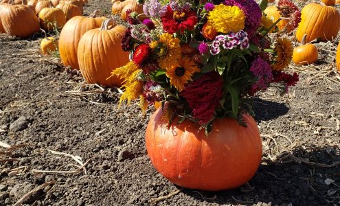 General Farm Investment Co