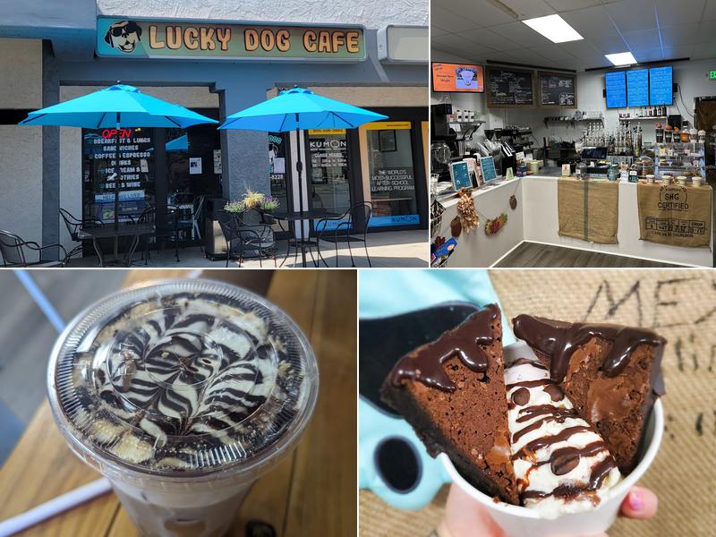 Lucky Dog Coffee