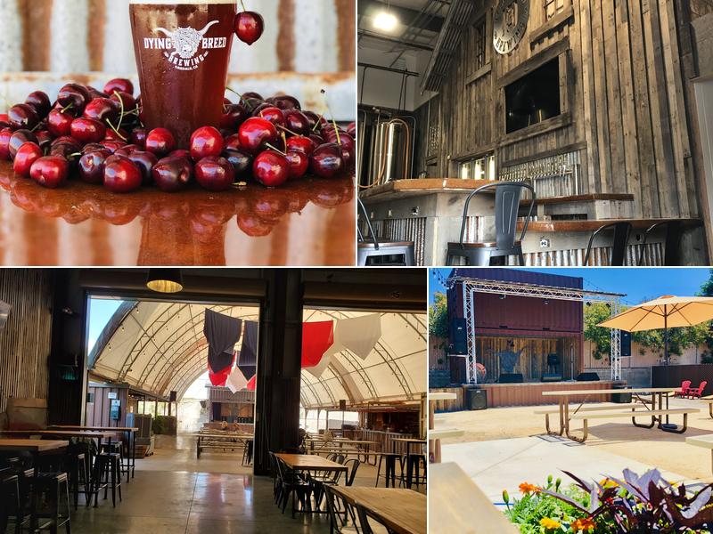 Dying Breed Brewing 963 Shepard Ct Suite B, Oakdale