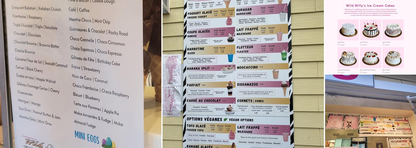 Wild Willy’s Ice Cream Menu