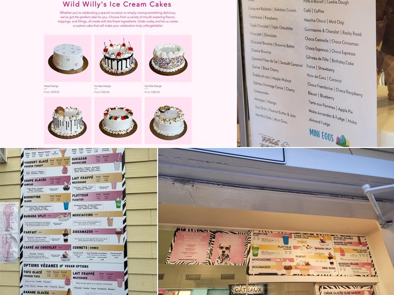 Wild Willy’s Ice Cream Menu