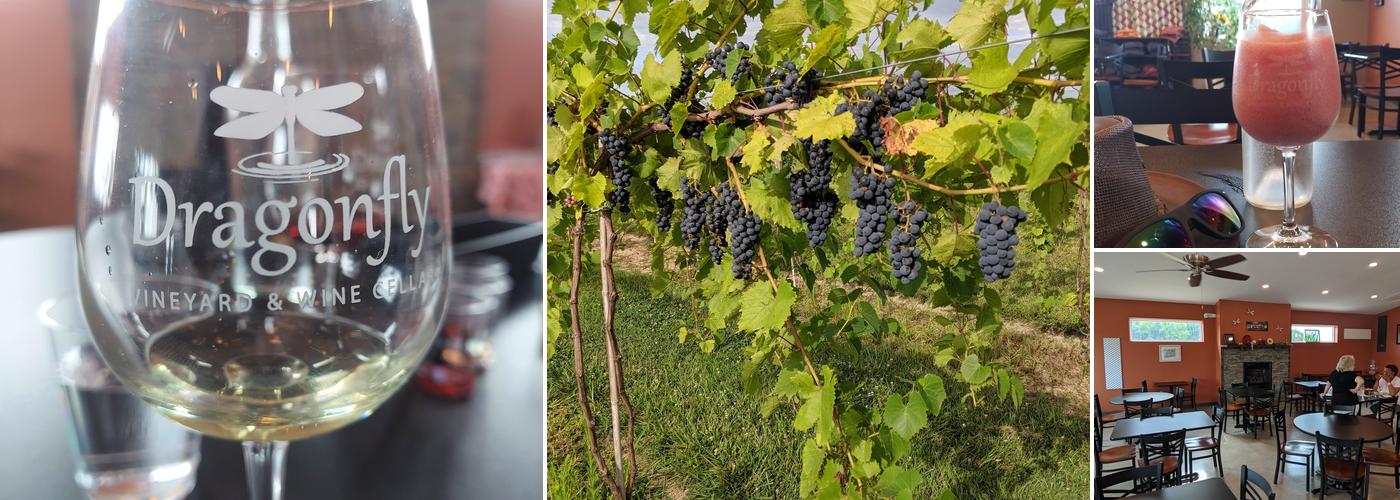 Dragonfly Vineyard and Wine Cellar