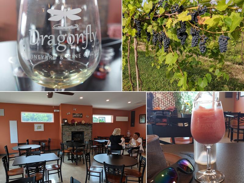 Dragonfly Vineyard and Wine Cellar