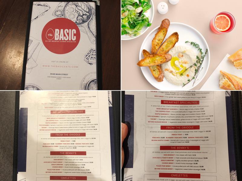 The Basic Menu