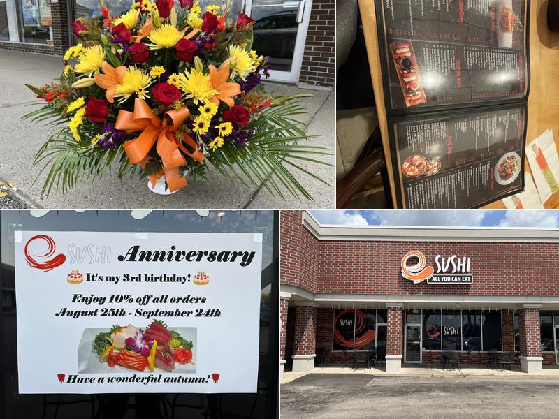 eSushi 1750 W Golf Rd, Mt Prospect