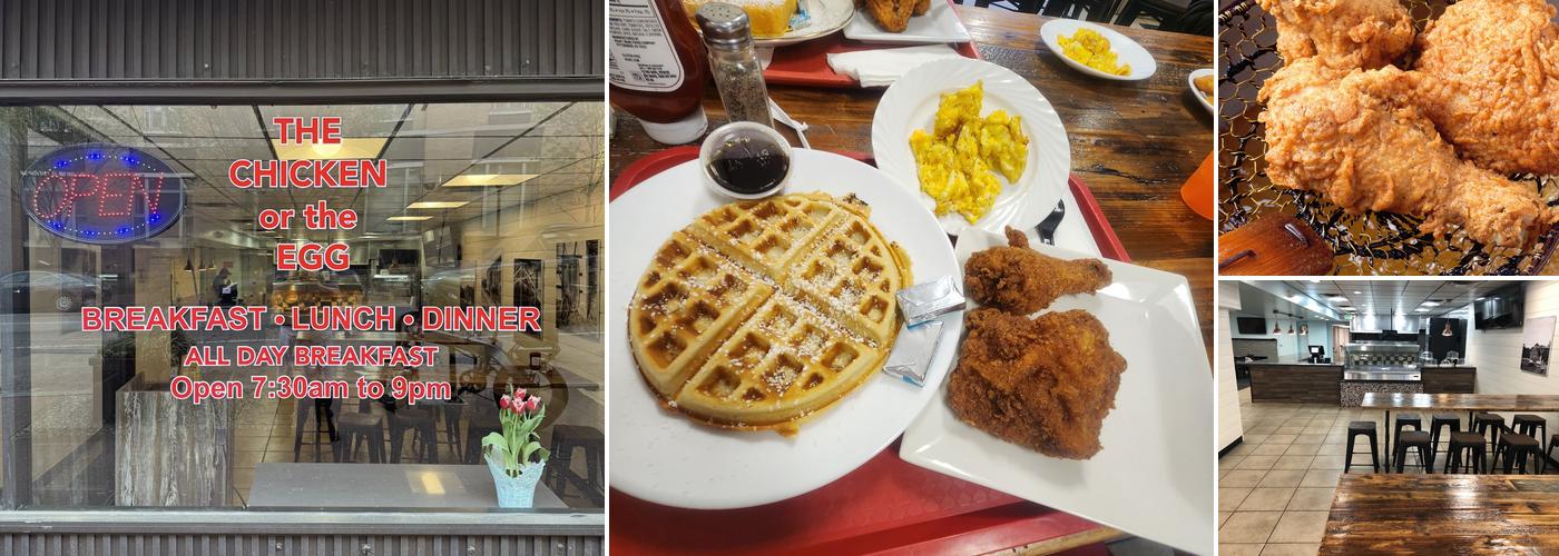 The CHICKEN or the EGG