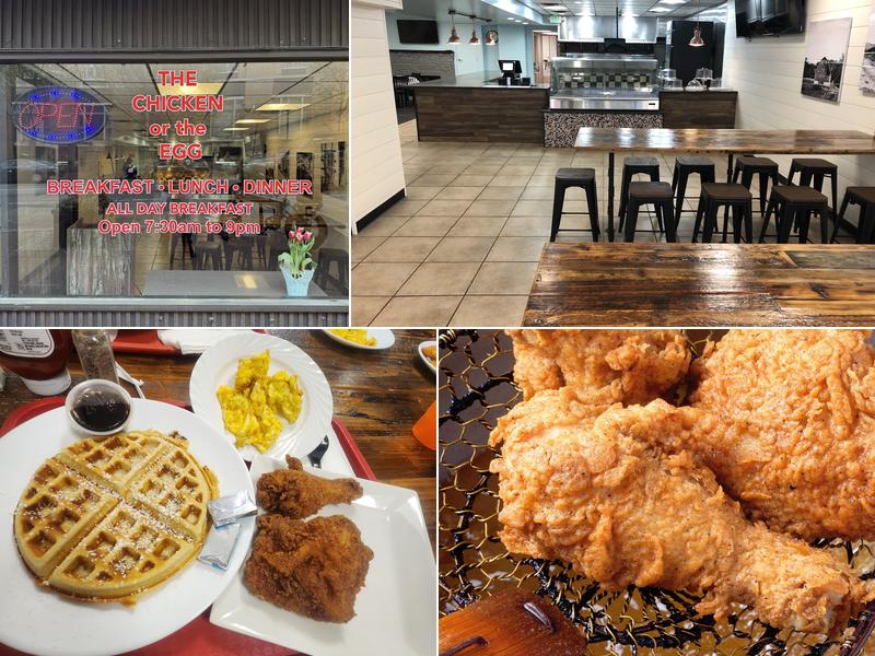 The CHICKEN or the EGG