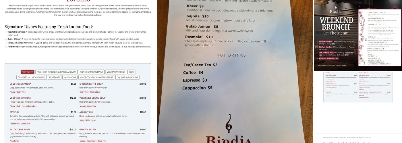 Bindia Indian Bistro Menu