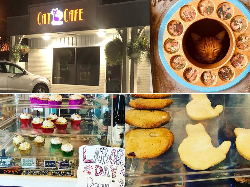 The Witty Whisker Cat Cafe 112 N Ponce De Leon Blvd Unit A, St. Augustine