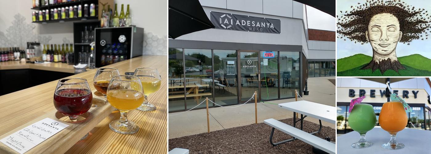 Adesanya Mead & Microbrewery