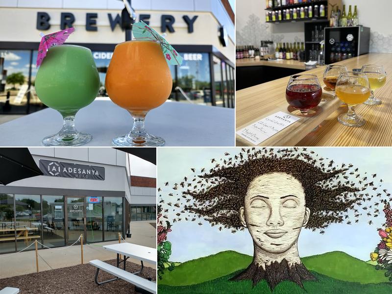 Adesanya Mead & Microbrewery