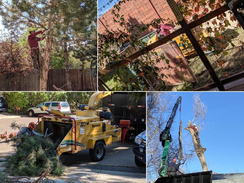 Reinholt Tree Care Inc.