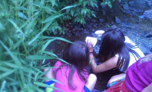 Little Den Early Learning Center