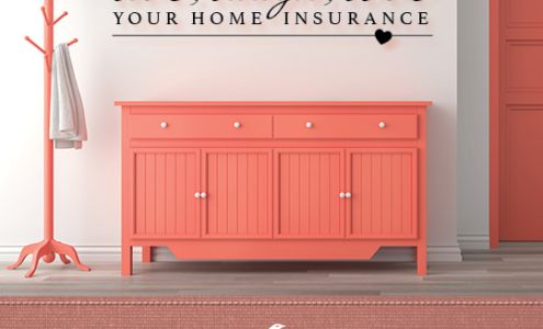 Long Tran, Representing American National