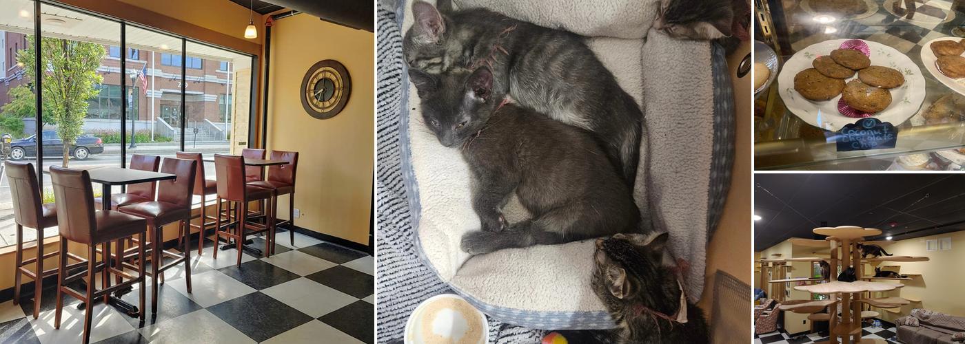 Kitty Korner Cafe