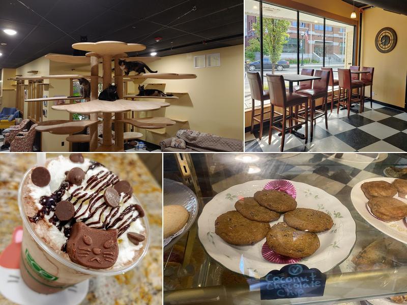 Kitty Korner Cafe 214 N Main St #1, Barre