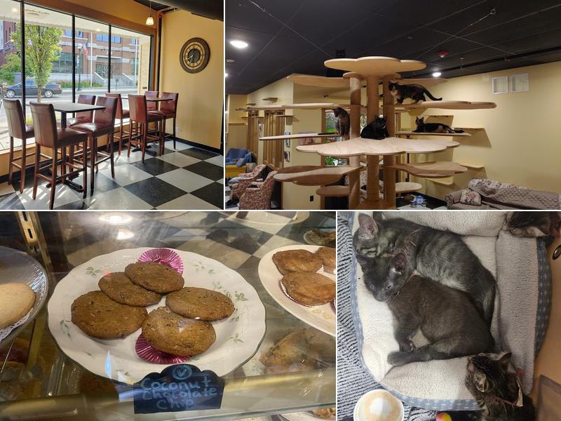 Kitty Korner Cafe