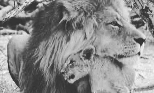 Valley Christian Academy