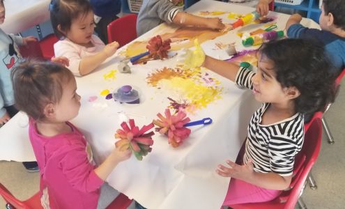 Action Day Schools - University