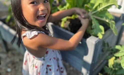 Chappell Schools - Deerwood