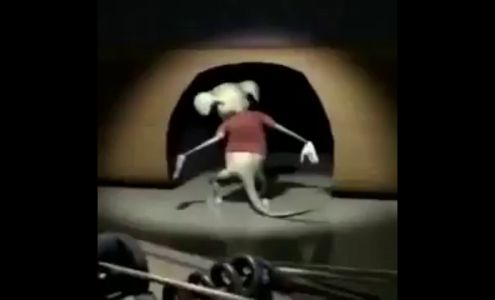 Sharing The Road Driving School