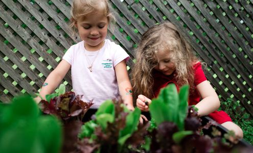 Village Montessori School of Bluemont Bluemont