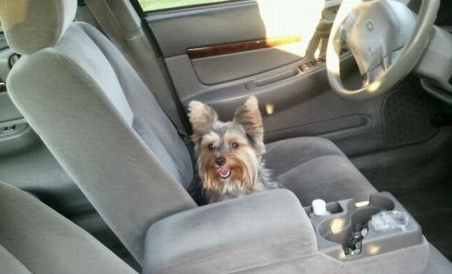 Student Drivers School Corporation 4984 Cactus Dr, Saginaw Michigan 48603