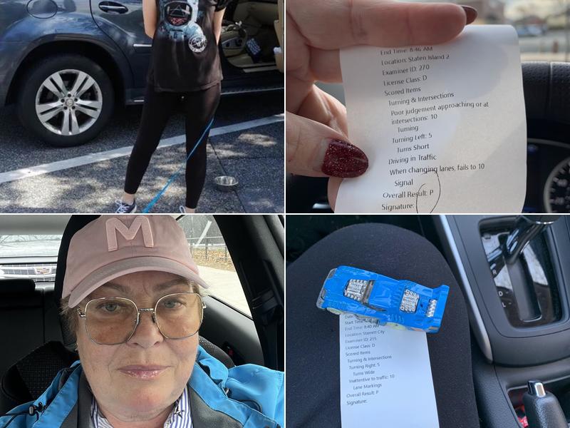 Natali's safe driving school