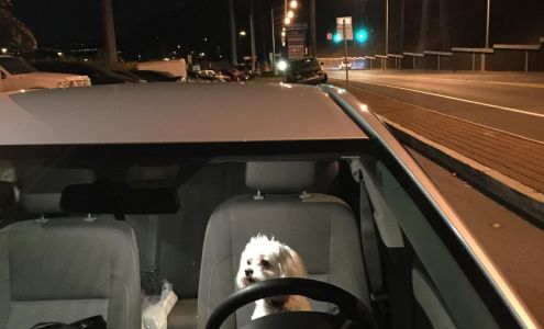 All County Drivers Training