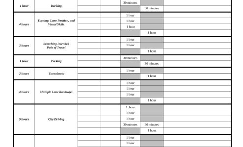 Austin Driving School