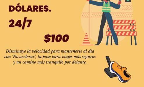 Abigail's Driving School