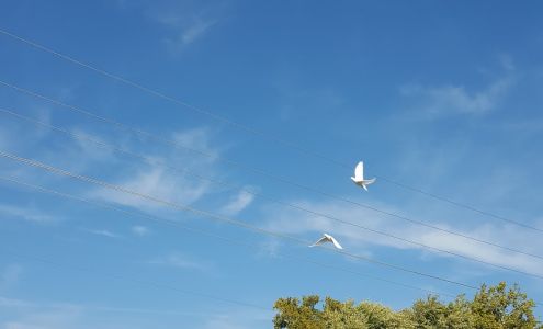 Excel Driving School