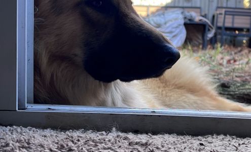 Driver Improvement Program 868 Newtown Rd, Virginia Beach Virginia 23462